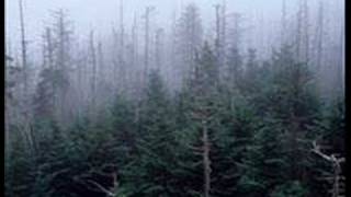 arcade fire cars and telephones