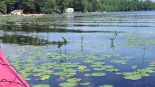 preview picture of video 'Kayaking Great Pond | Kingston Lake NH'