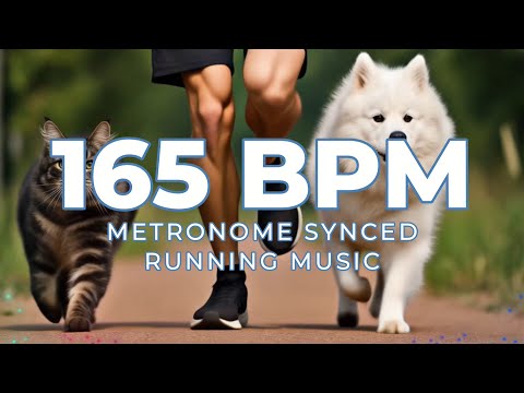 165 BPM Running Music | 1 Hour | Metronome Synced | Rock, Punk, EDM | Workout Motivation