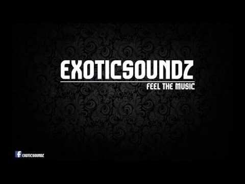 DJ Exotic Soundz - Madness House (2014) Remix