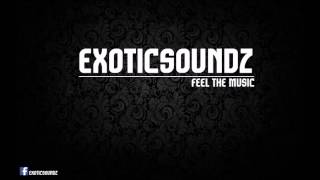 DJ Exotic Soundz - Madness House (2014) Remix