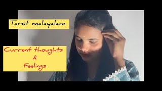 അവർക്ക് നിങ്ങളോടുള്ള ഫീലിംഗ്സ് എന്താണ്,ചിന്തകൾ എന്താണ് 🙏🏻🧿