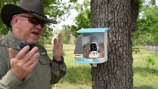 🔥 See Amazing Birds! isYoung Smart Bird Feeder with Camera - Review & Setup