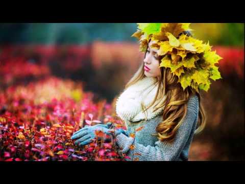 Stopram sem se oženil - Kvartet Studio