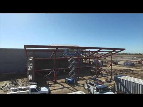 Week 23 (01.26.16) - The Plant