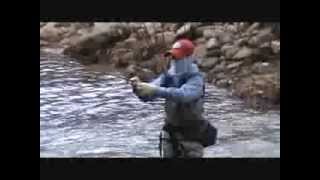 preview picture of video 'A Great Day To Be a Fly Fisherman- Wilson Creek North Carolina'