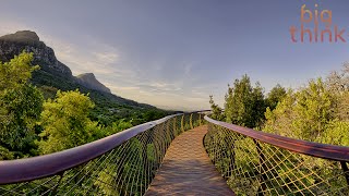 Jason Silva: Today's Design Decisions Author the Brains of Tomorrow