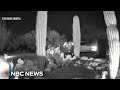 Police Looking At New Ring Camera Video From Guthrie Neighborhood The Night She Was Abducted