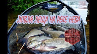 Рыбалка на шкиперском протоке