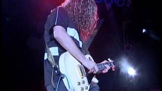 La Cuca - El Son Del Dolor (en Vivo)