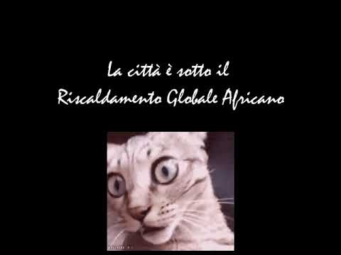 Nemosi Sboldro - Il Gatto Testa Di Ca**o