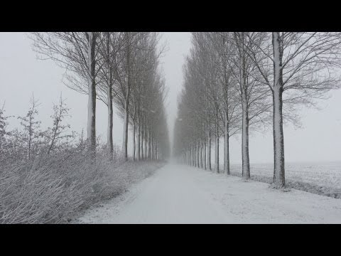 Winter in Kerkwijk, The Netherlands