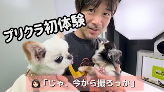 インスタで話題！京都の「ワンコとプリクラ」に潜入。