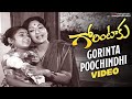 Savitri Hit Songs Gorinta Poochindhi Video Song Gorintaaku Movie Shobhan Babu Mango Music