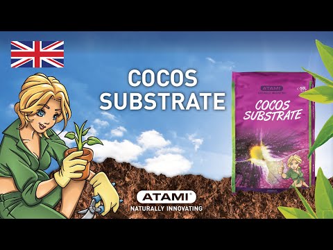 , title : 'Cocos substrate | (EN)'