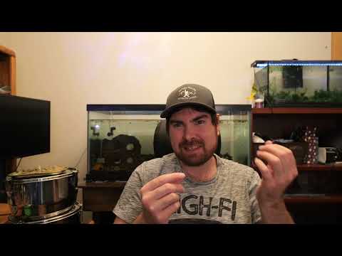 How To Grow Thick Autoflower Buds - Auto Q&A