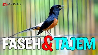 Download lagu MURAI GACOR MATERI FASEH DAN TUNTAS DURASI PANJANG PANJANG mp3 Download lagu MURAI GACOR MATERI FASEH DAN TUNTAS DURASI PANJANG PANJANG mp3