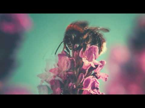 Subspiele - Dub techno mix by FAIDEL I Podcast 113