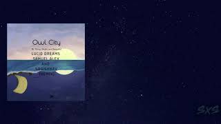 Owl City   Lucid Dream Samuel Alex & Sowshnav (Remix)