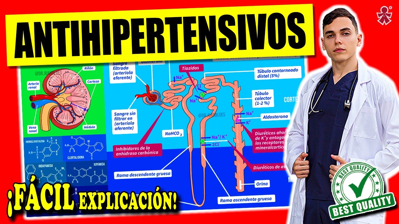ANTIHIPERTENSIVOS : CLASIFICACIÓN y MECANISMO DE ACCIÓN