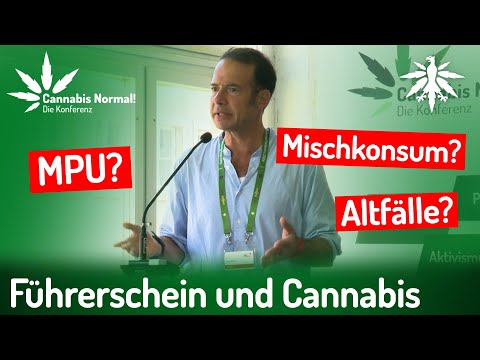 Video Thumbnail: CaNoKo24: Führerschein und Cannabis: Rechtliche Fragen
