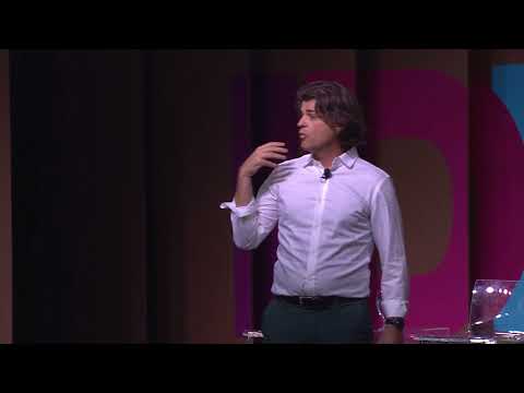 Deep Dive: Inside the Animal Mind (and Yours)