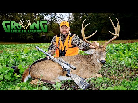 download lagu mp3 mp4 Holy Family Basc, download lagu Holy Family Basc gratis, unduh video klip Holy Family Basc