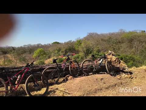 Rota Macaca Reduzida, região de Caldazinha, Goiás.