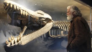 Aterrorizante – 11 Descobertas de Fósseis PRÉ-HISTÓRICOS Incrivelmente Bem Preservados! ➤ 3