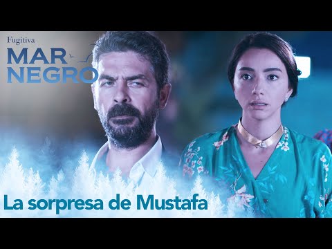 Mustafa ha vuelto a casa - Capítulo 72 | Fugitiva