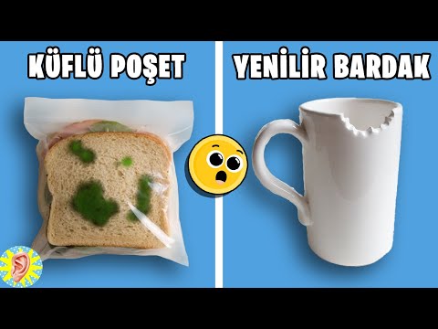 The 10 Most Incredible Food Designs