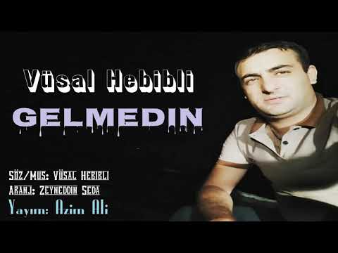 Vusal Hebibli - Gelmedin 2018 | Vusal Hebibli Official