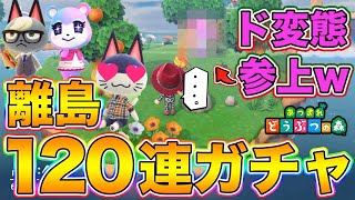 【あつ森】離島１２０連住民ガチャ！とてつもない「ド変態キャラ」登場で唖然wwwww【あつまれどうぶつの森】