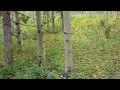 One in a Row - Don McLean: Maroon Bells, Colorado on September 3, 2012