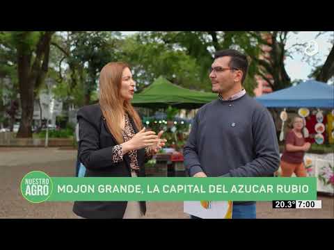 #NuestroAgro: Mojón Grande, la capital del azúcar rubio