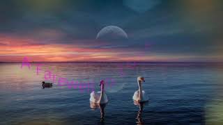 Download lagu A Farewell to Love Elgar　　エルガー：愛のあいさつ Op.12sgr　　　　　Yael Kareth mp3