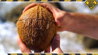 How To Open Coconuts Without Any Tools! TKOR