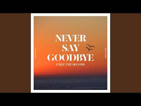 Video thumbnail for NEVER SAY GOODBYE
