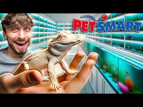 Taking Baby Albino Alligator To Petsmart!