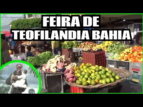 Feira na Manhã de Natal de Teofilandia Bahia, Veja como Foi! 