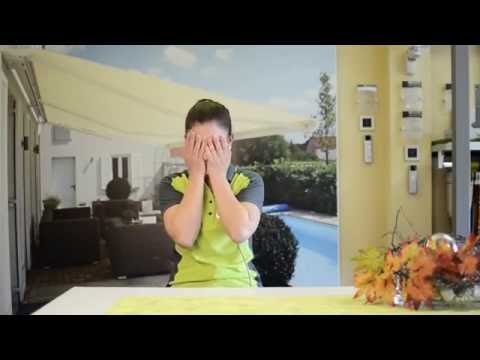 Das Dingsda von Mauerstetten: Cabrio Glasschiebedach