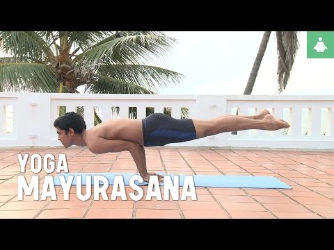 Learn yoga poses: Mayurasana (peacock pose)