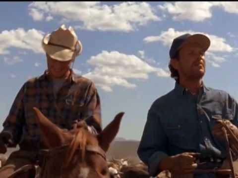 CITY SLICKERS "RAWHIDE"