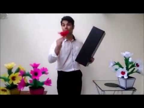 4 Colorful Flowers & Vases from Tube by Tora Magic