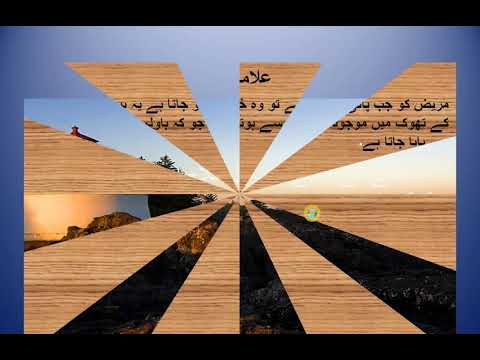 If dog bit take treatment in urdu