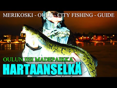 Madepilkki Oulu - Hartaanselän Iisi Madespotti ( Fishing Guide Oulu - Ice Fishing Finland )