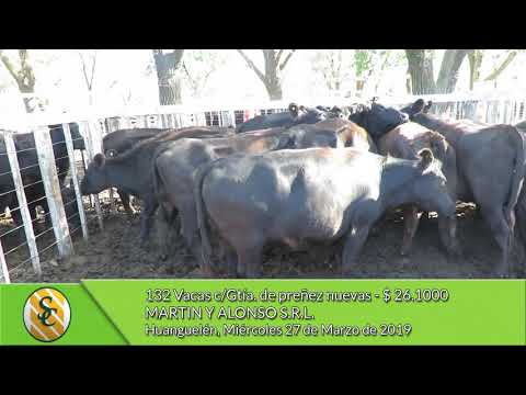 27-03-19 - Venta de Vientres - Martín y Alonso S.R.L. - Huanguelén