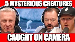 5 Mysterious Creatures Caught on Camera  OFFICE BL