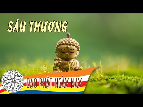 Sáu thương