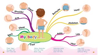 My Body 1 - Chinh phục từ vựng tiếng Anh theo sơ đồ tư duy Mind Map